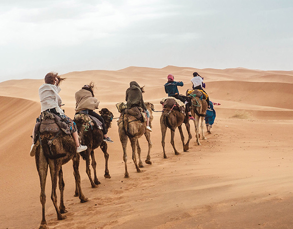 Amazing Rajasthan Tour