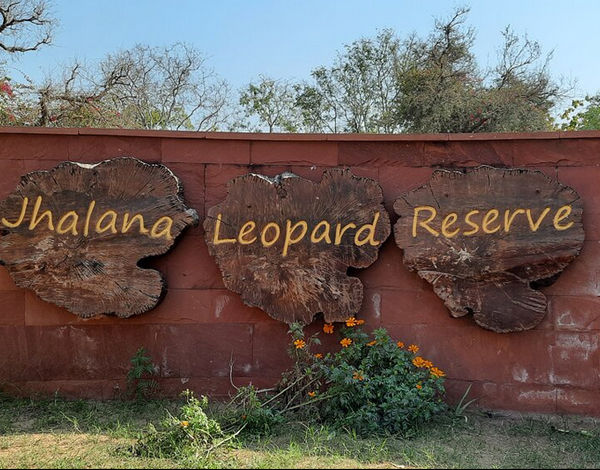 jhalana leopard safari online booking