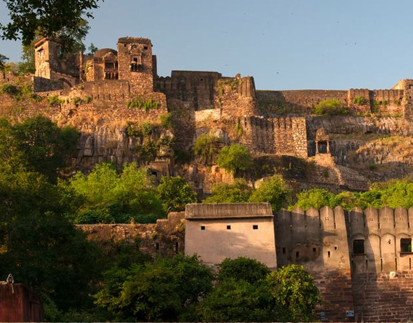 jaipur ranthambore tour itinerary